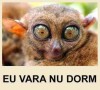 eu_vara_nu_dorm
