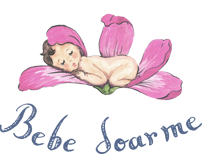 logo-bebe-doarme-site.png Logo bebe doarme site