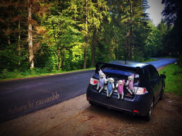 Subarubb Mihai Tuchlei