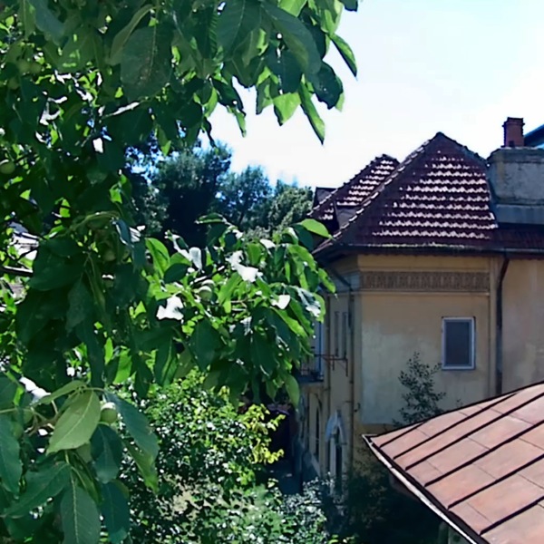 Img00055