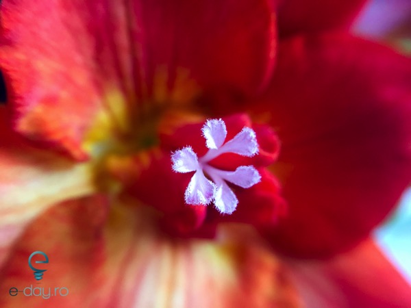 IMG 4747