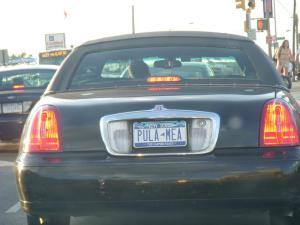 11246858_1441446916169899_7460101360142504715_n.jpg 11246858 1441446916169899 7460101360142504715 n