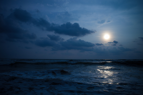 Shutterstock 121970197