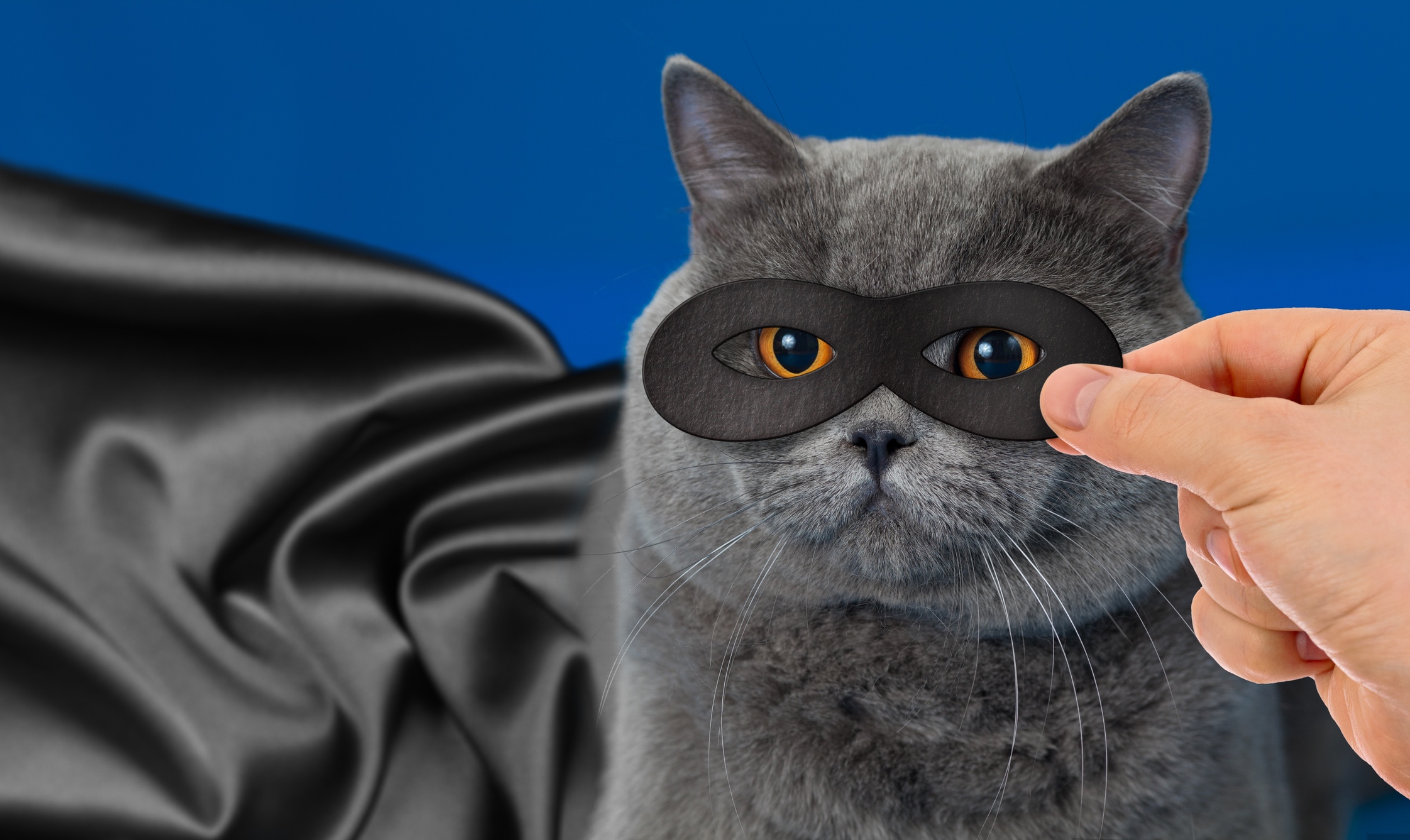 dreamstime_m_34511908